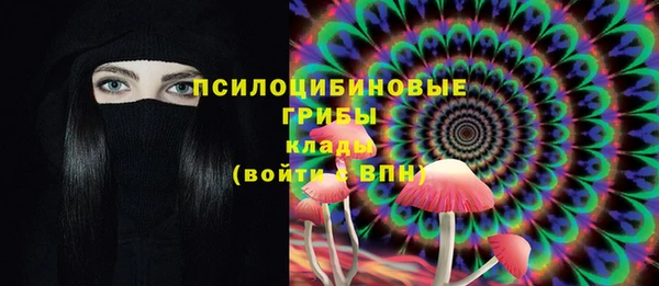 прущие крисы Коряжма
