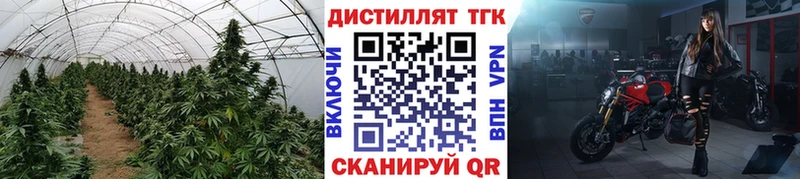 продажа наркотиков mega как зайти Дистиллят ТГК вейп с тгк Лиски