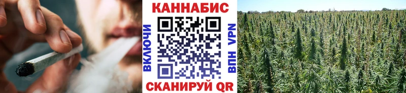наркота  Лиски  Канабис Amnesia 